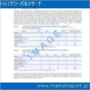 市場と産業調査レポートのイメージ